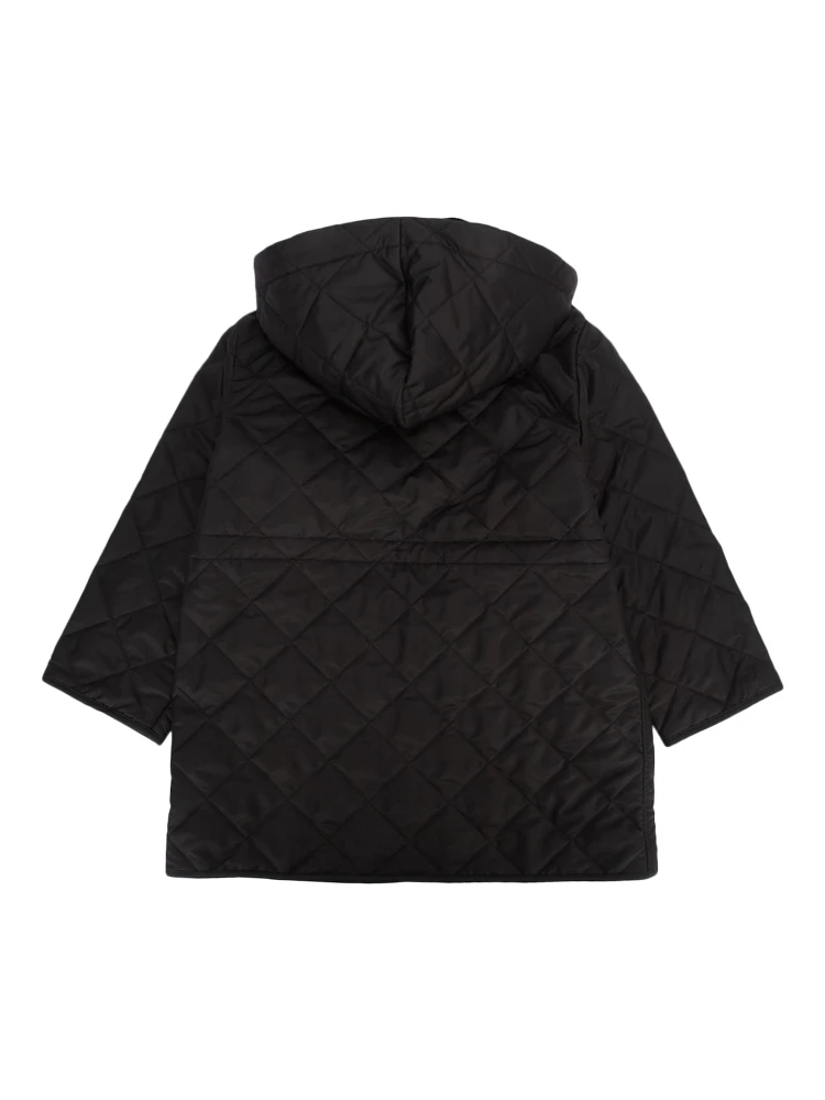 8092531 A1189 alternative