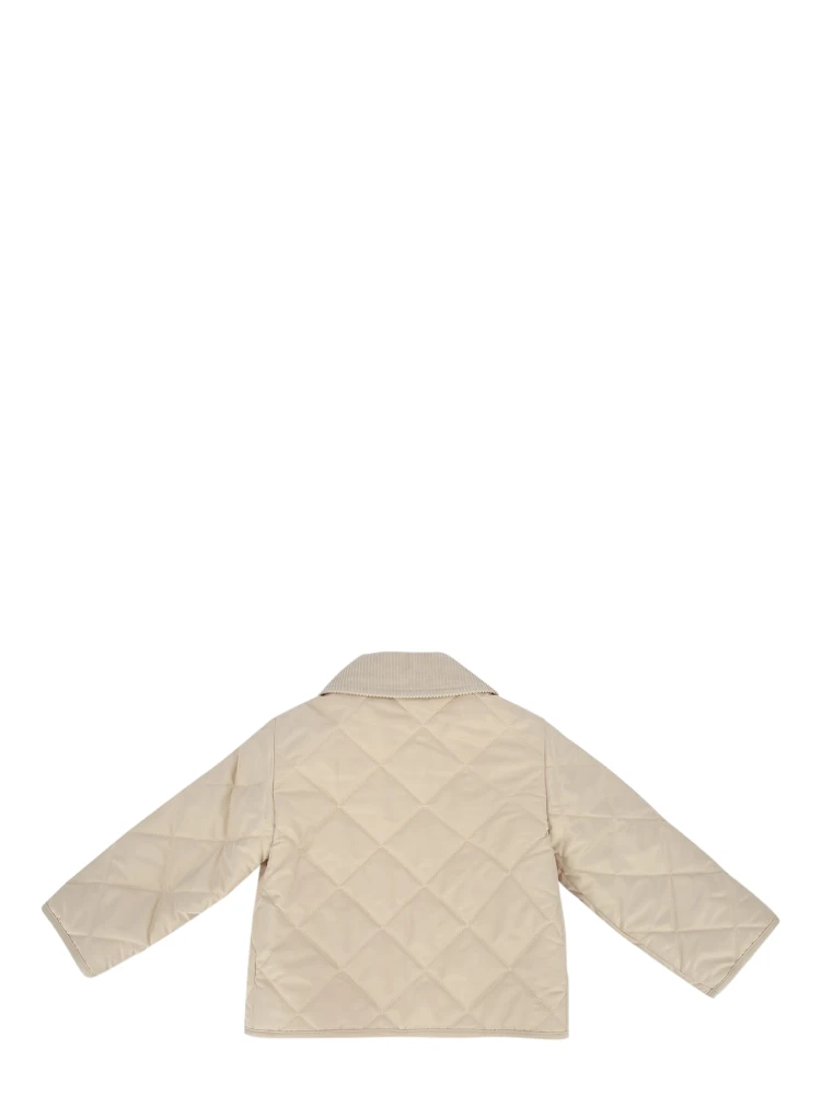 N6 TOMMY alternative