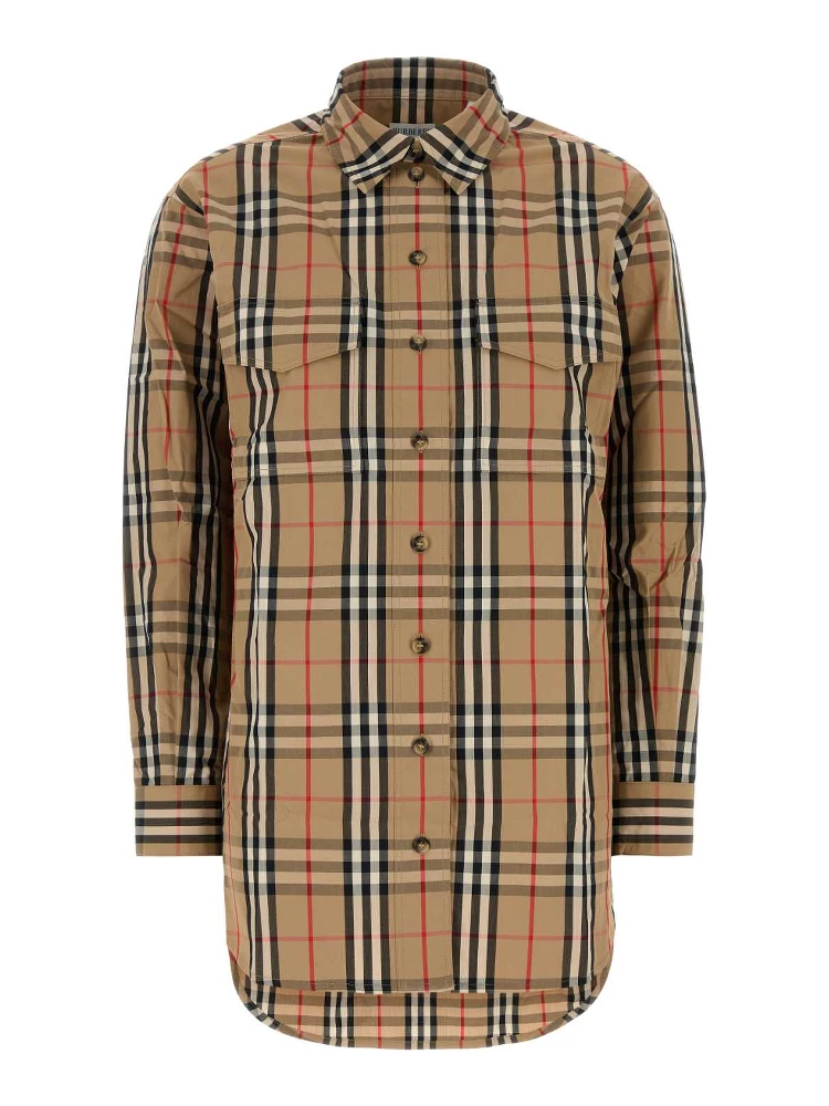 TURNSTONE SR_205 ORG