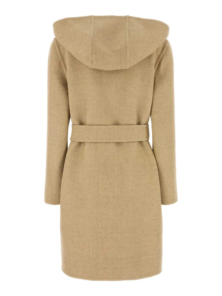 HAMPSHIRE alternative