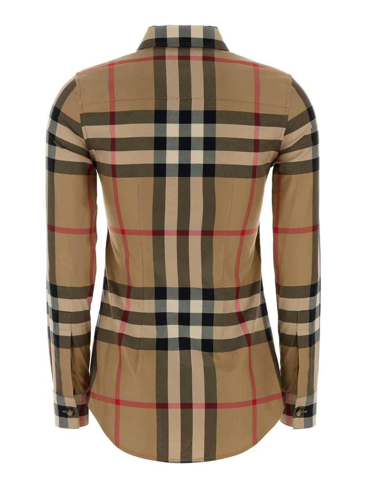 LAPWING SR204 ORG E alternative