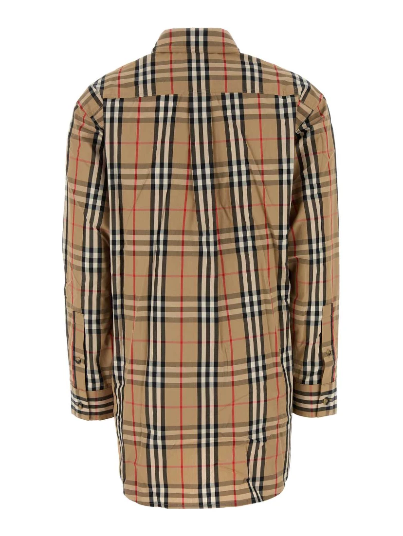 TURNSTONE SR_205 ORG