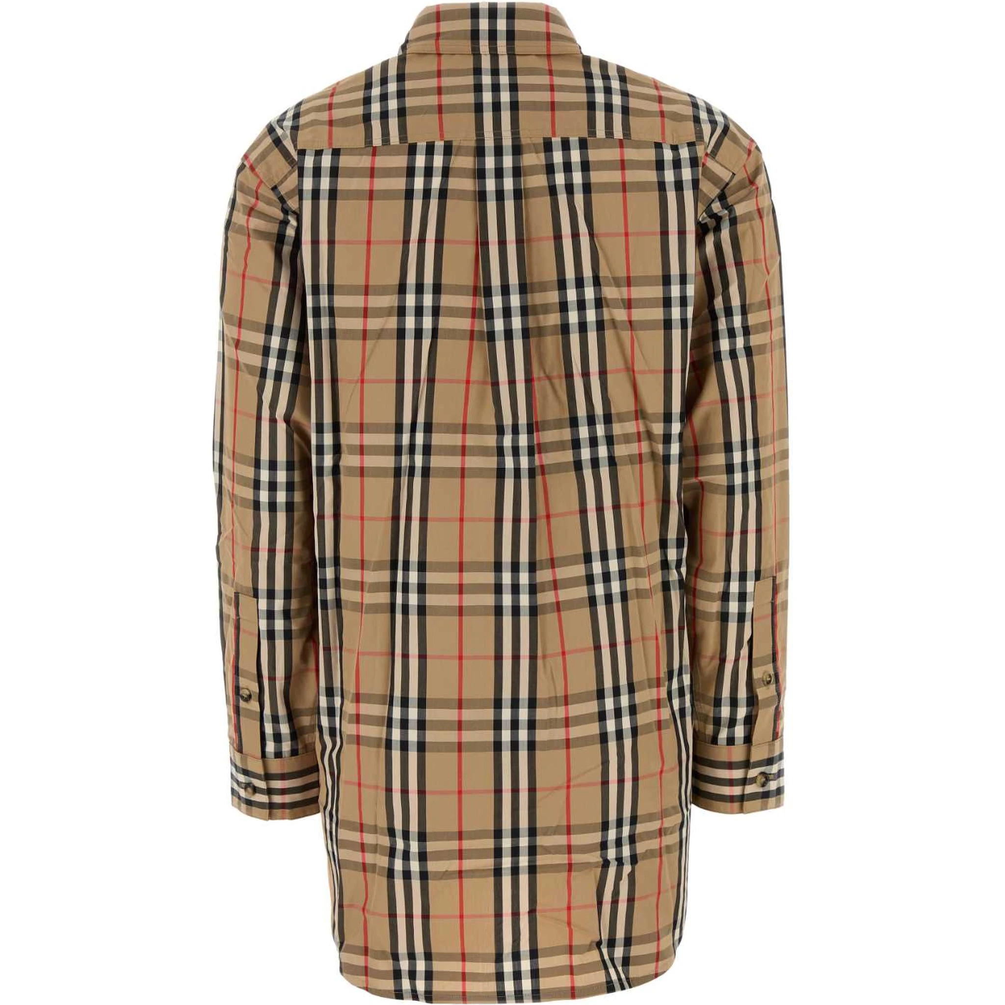 TURNSTONE SR_205 ORG