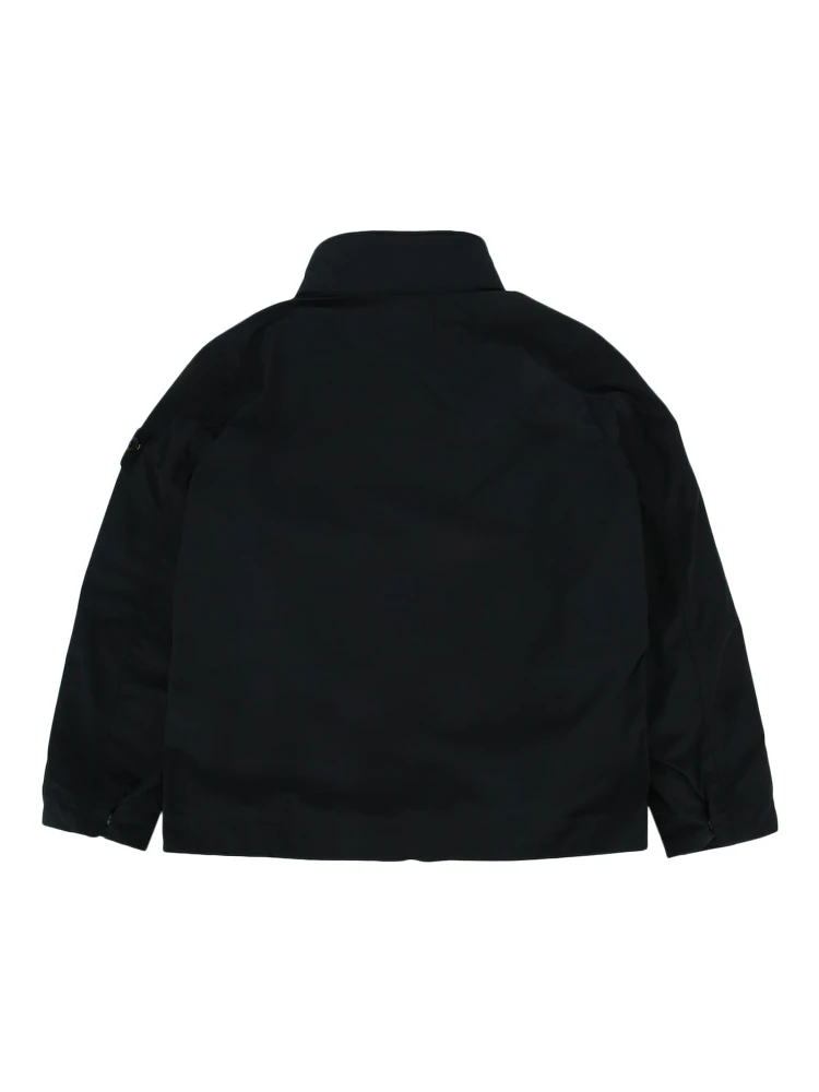 811641537 V0029 alternative