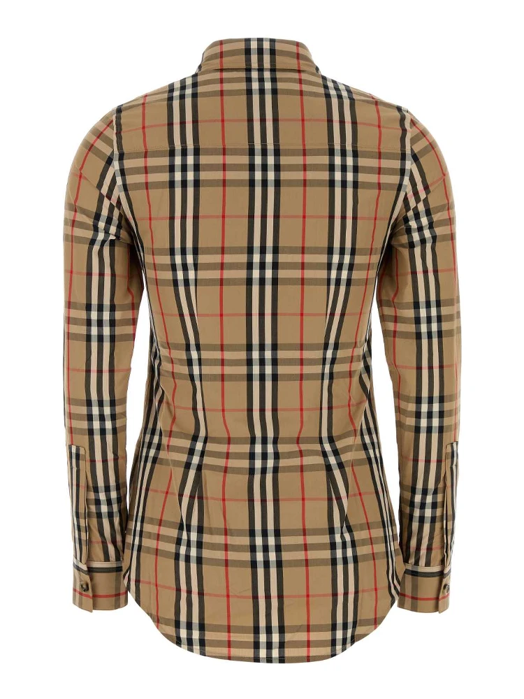 LAPWING SR_204 ORG alternative