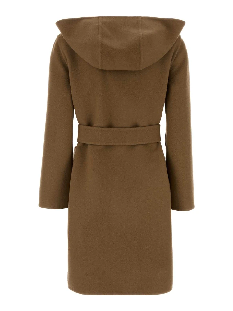 HAMPSHIRE alternative