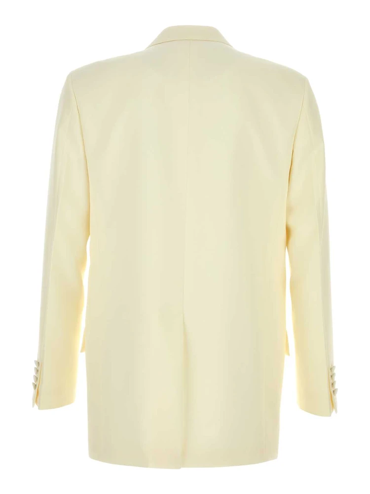 بليزر alternative