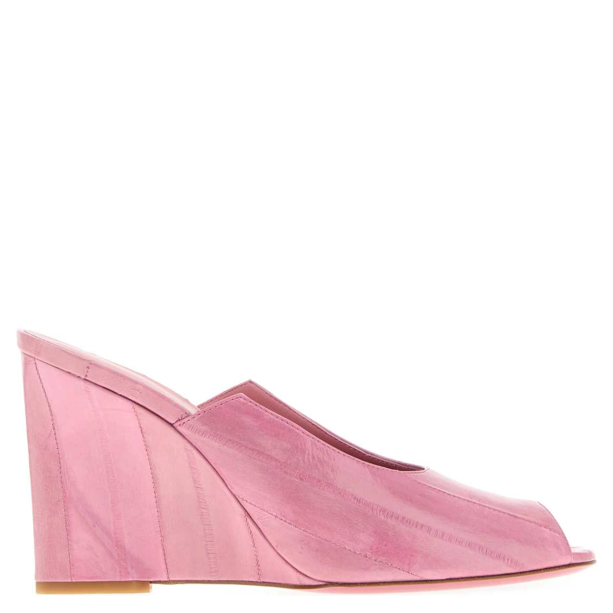 SLIDE ANGUILLA LUCIDA