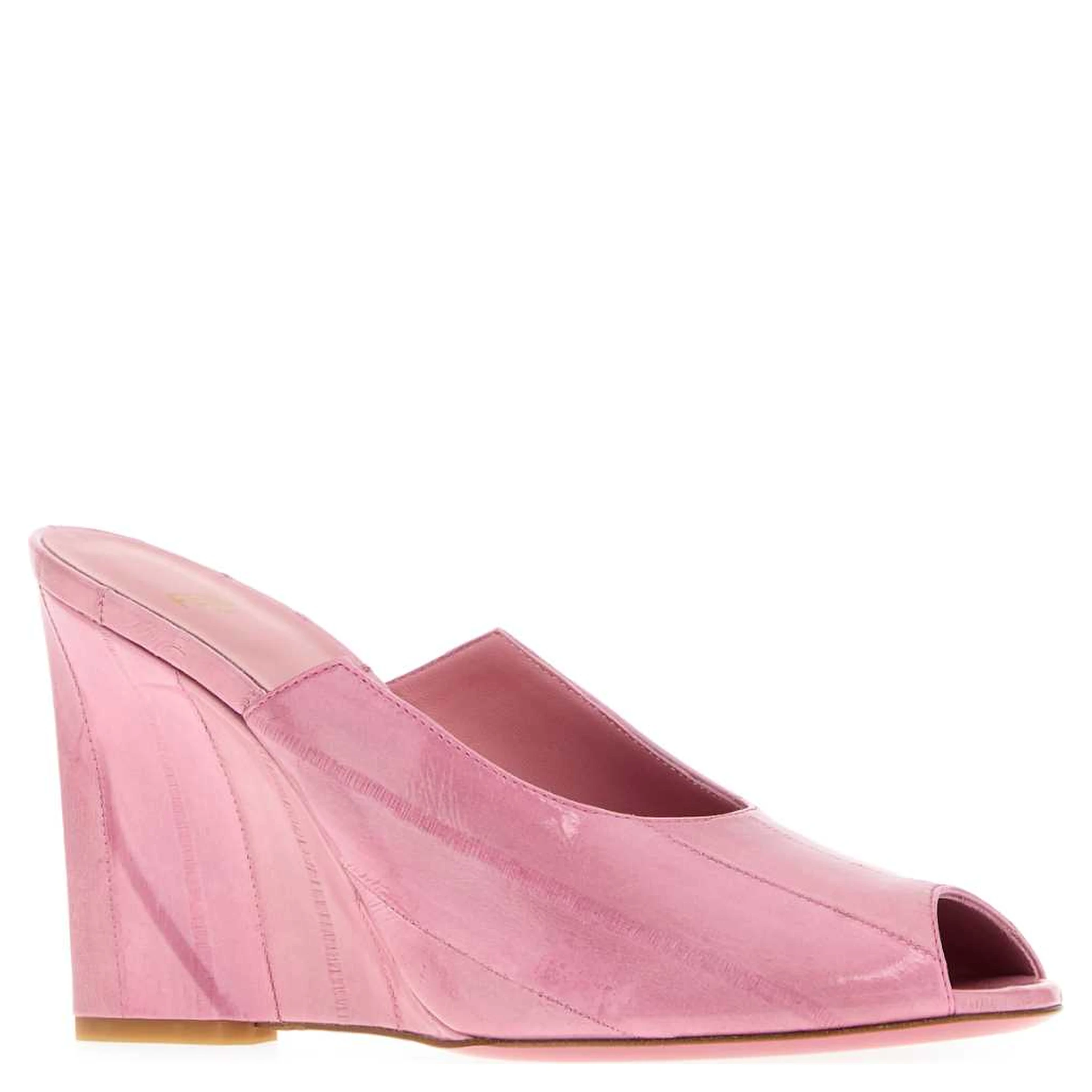 SLIDE ANGUILLA LUCIDA