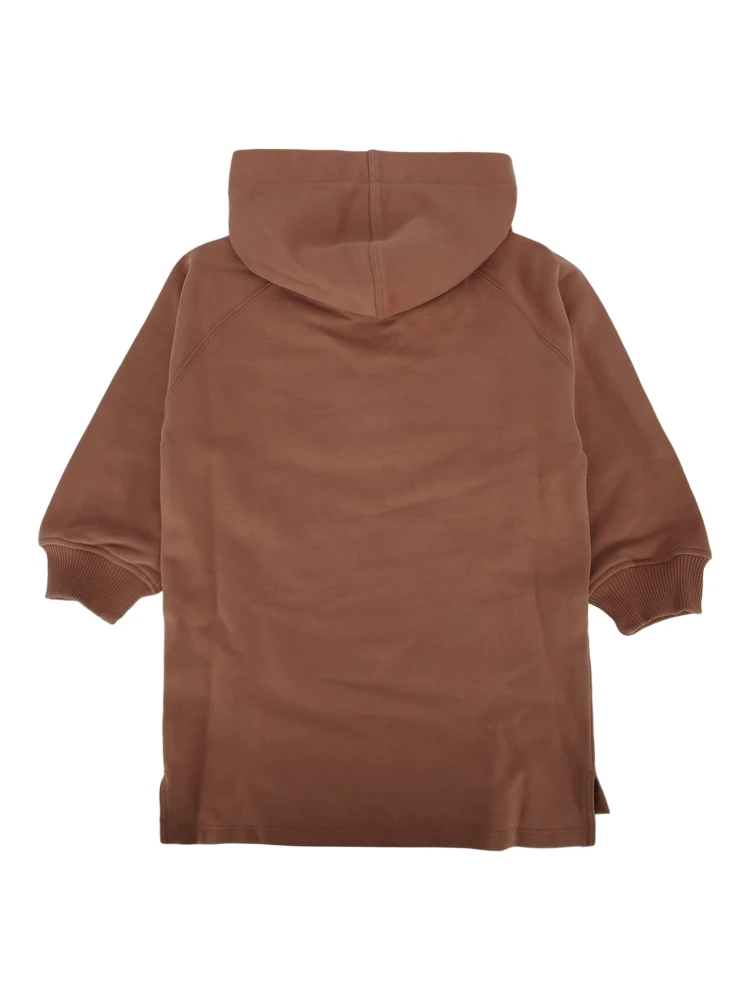 C20618 31C alternative