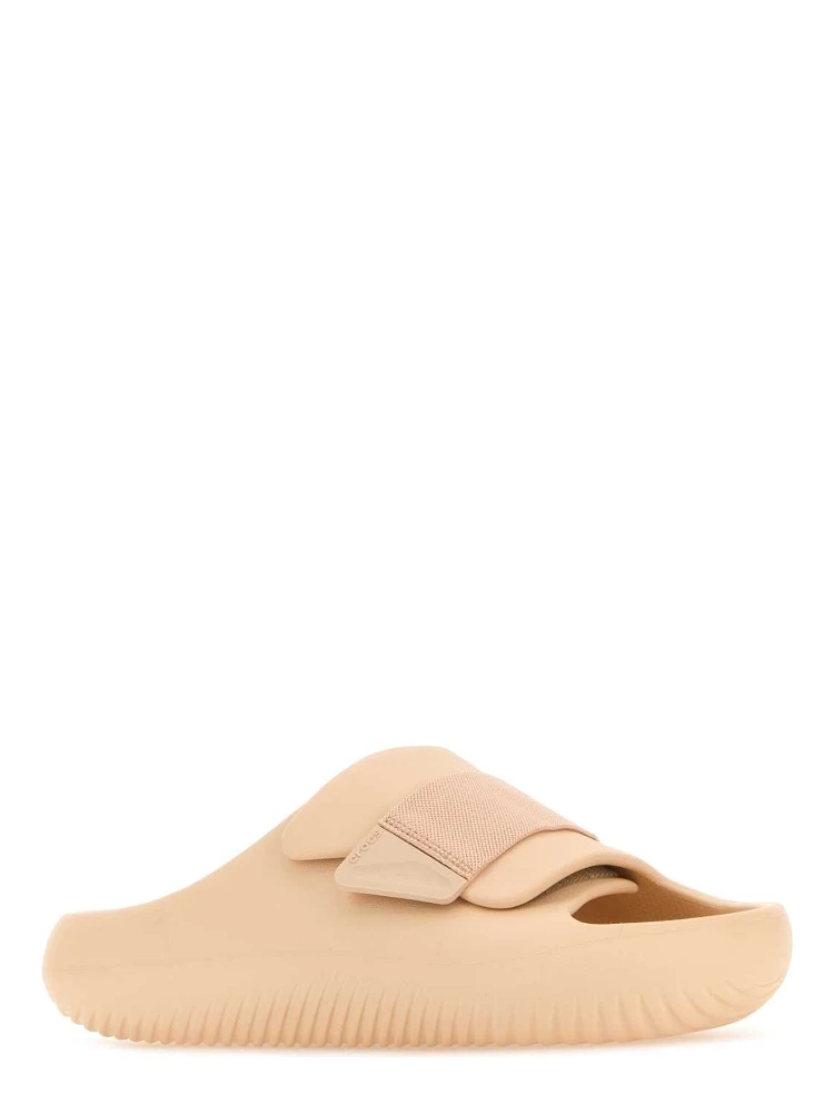 CR209413 SHITAKE alternative