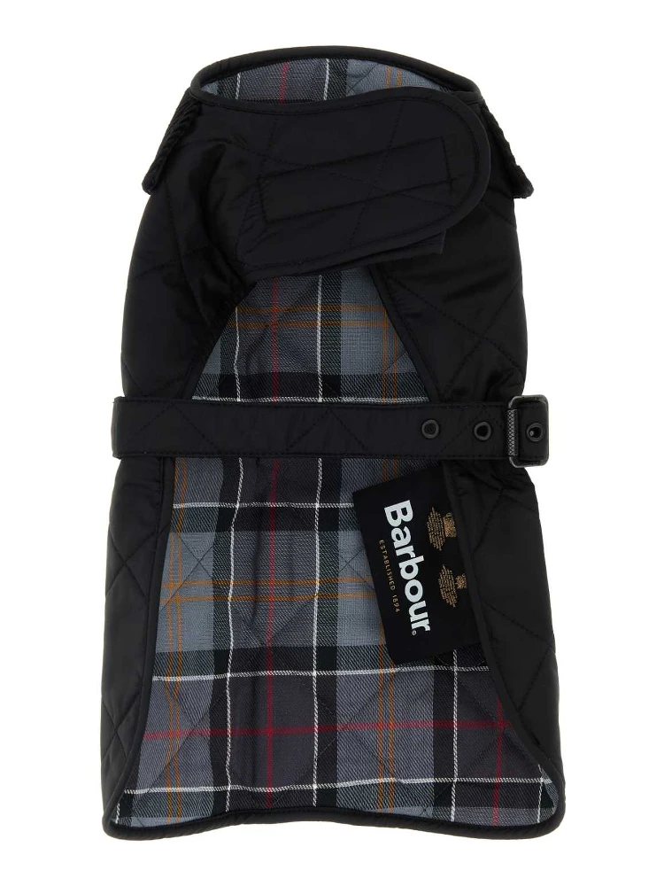 PETTORINA alternative