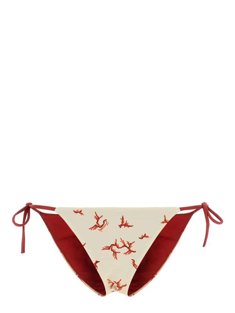 TANGA CORAL REEF LYC