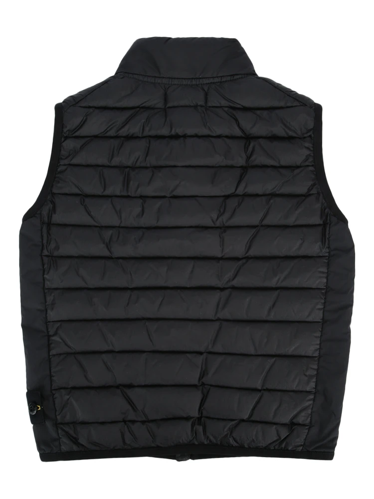 G10000224 V0029 alternative