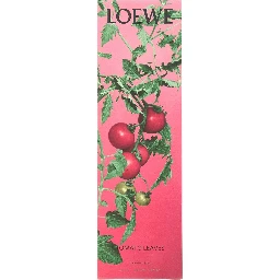 LOEWE INCENSE PACK REFILL TOMATO LEAVES
