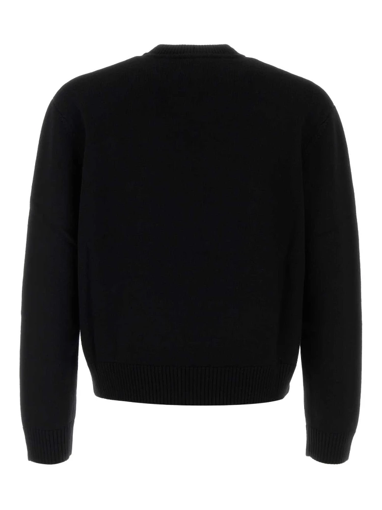 CHARACTER INTARSIA CREW alternative