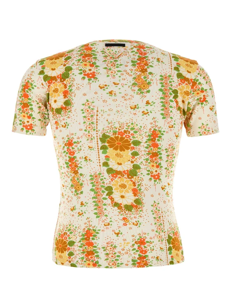 جيرسي alternative