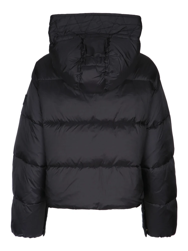 GIUBBINI alternative