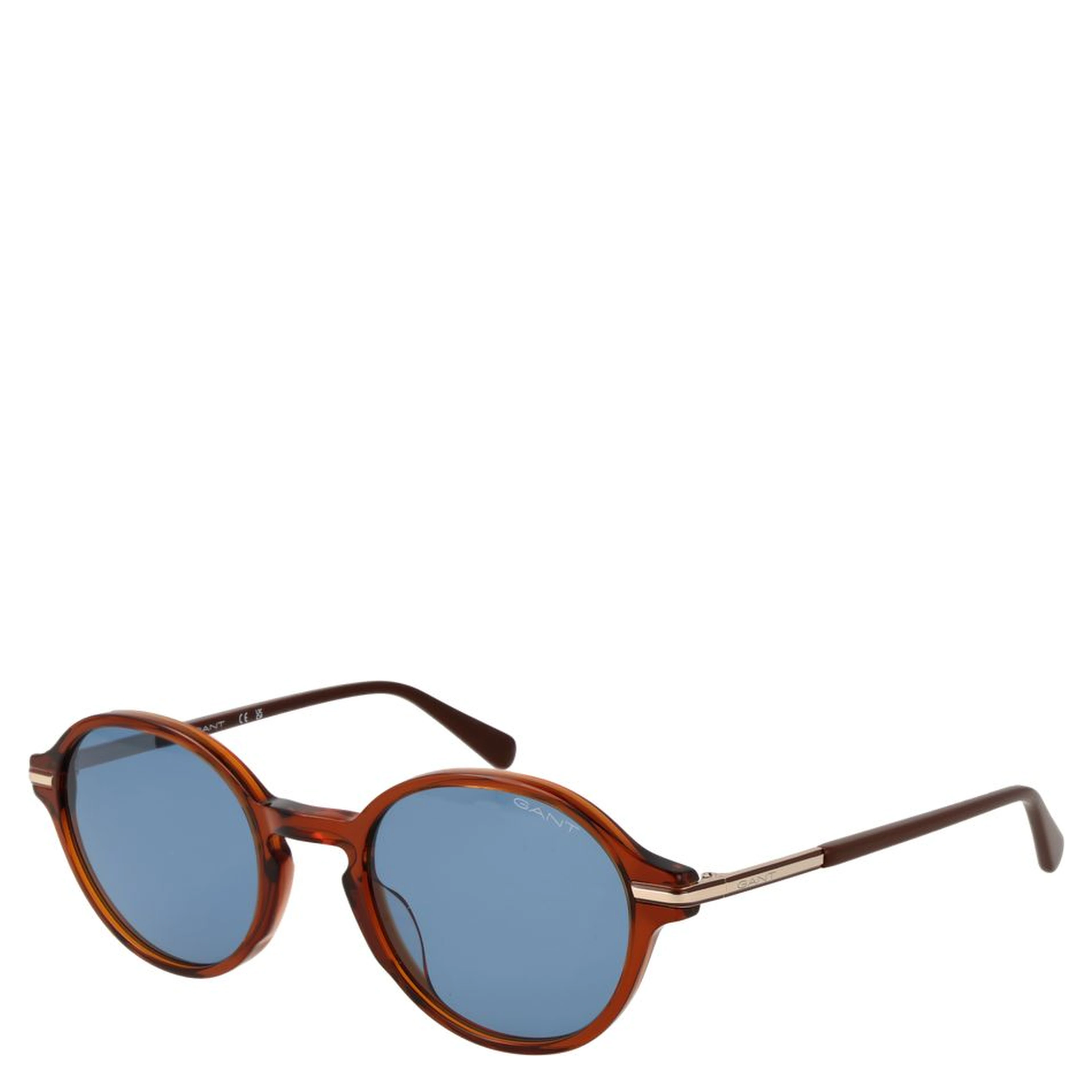 Brown Acetate Sunglasses