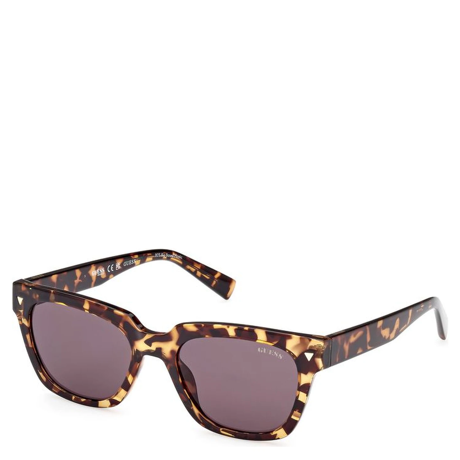 Brown Resin Sunglasses