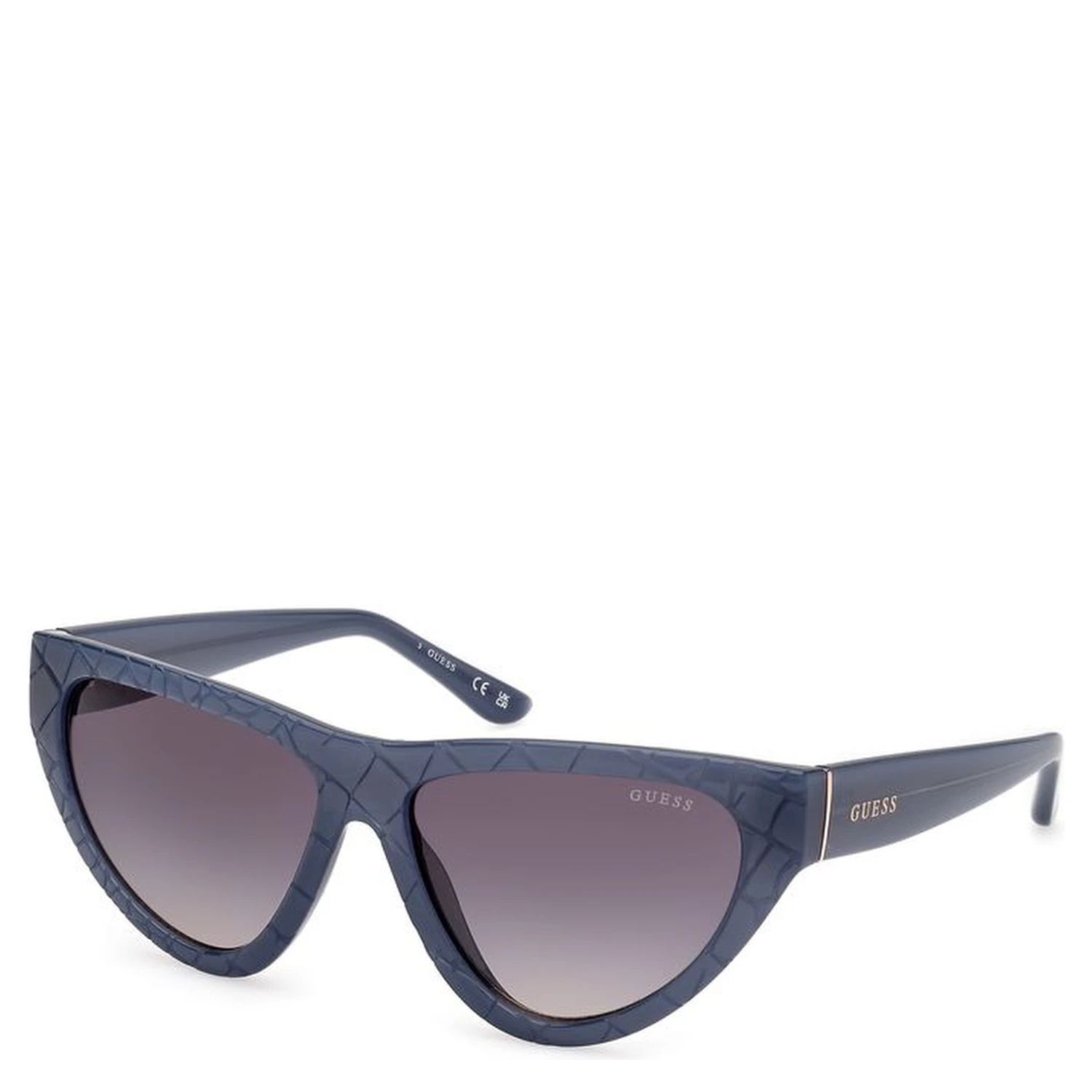Blue Resin Sunglasses