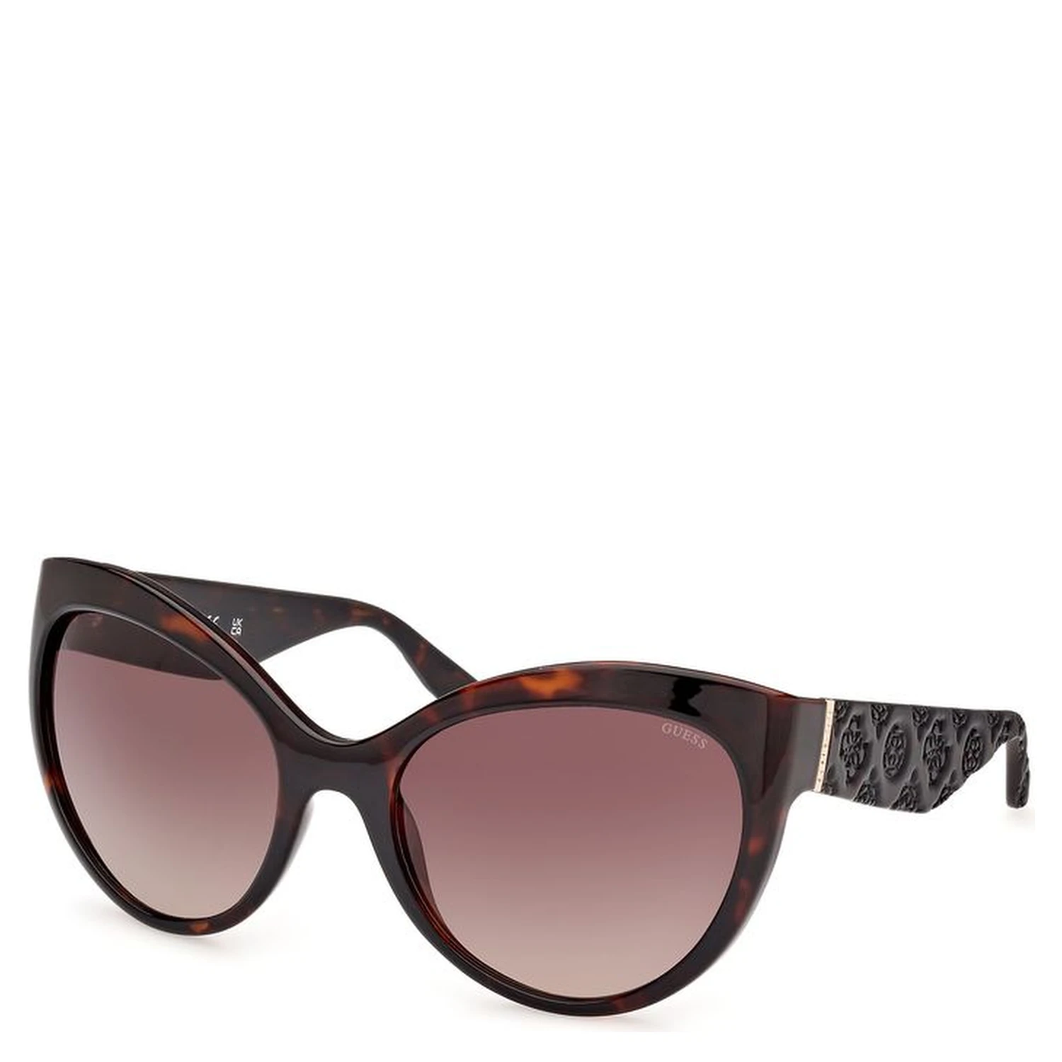 Brown Resin Sunglasses