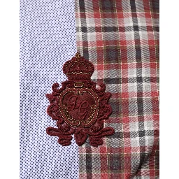 Multicolor Cotton Collared Checkered Shirt