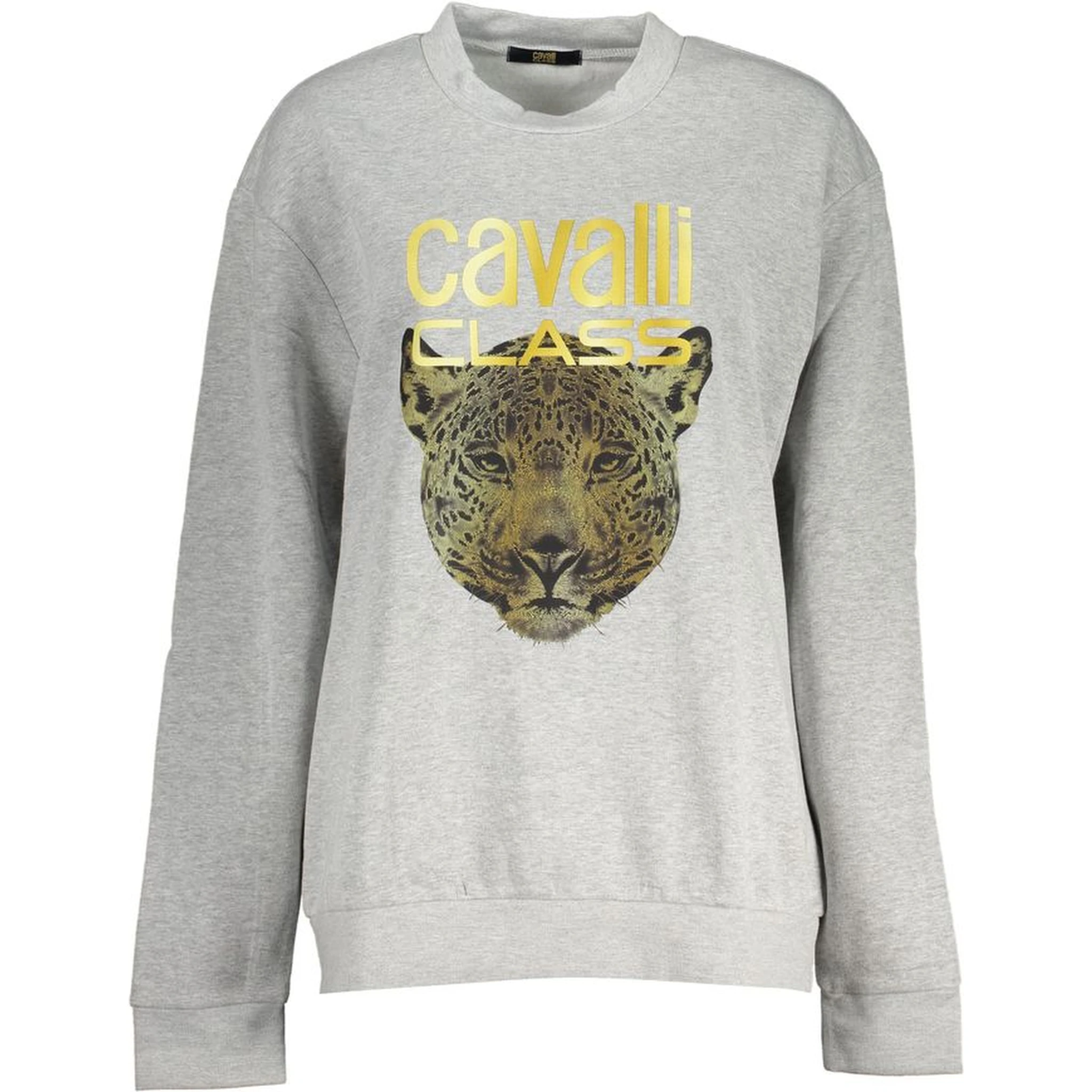 Grigio Polyester Woman Sweatshirt