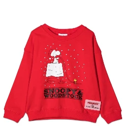 FELPA CAPSULE PEANUTS