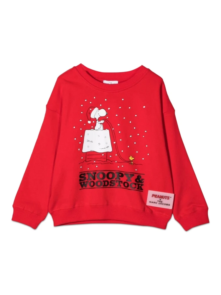 FELPA CAPSULE PEANUTS