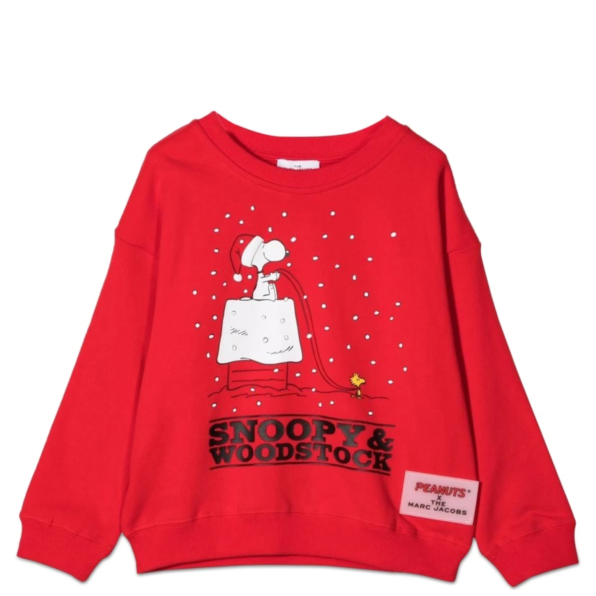 FELPA CAPSULE PEANUTS