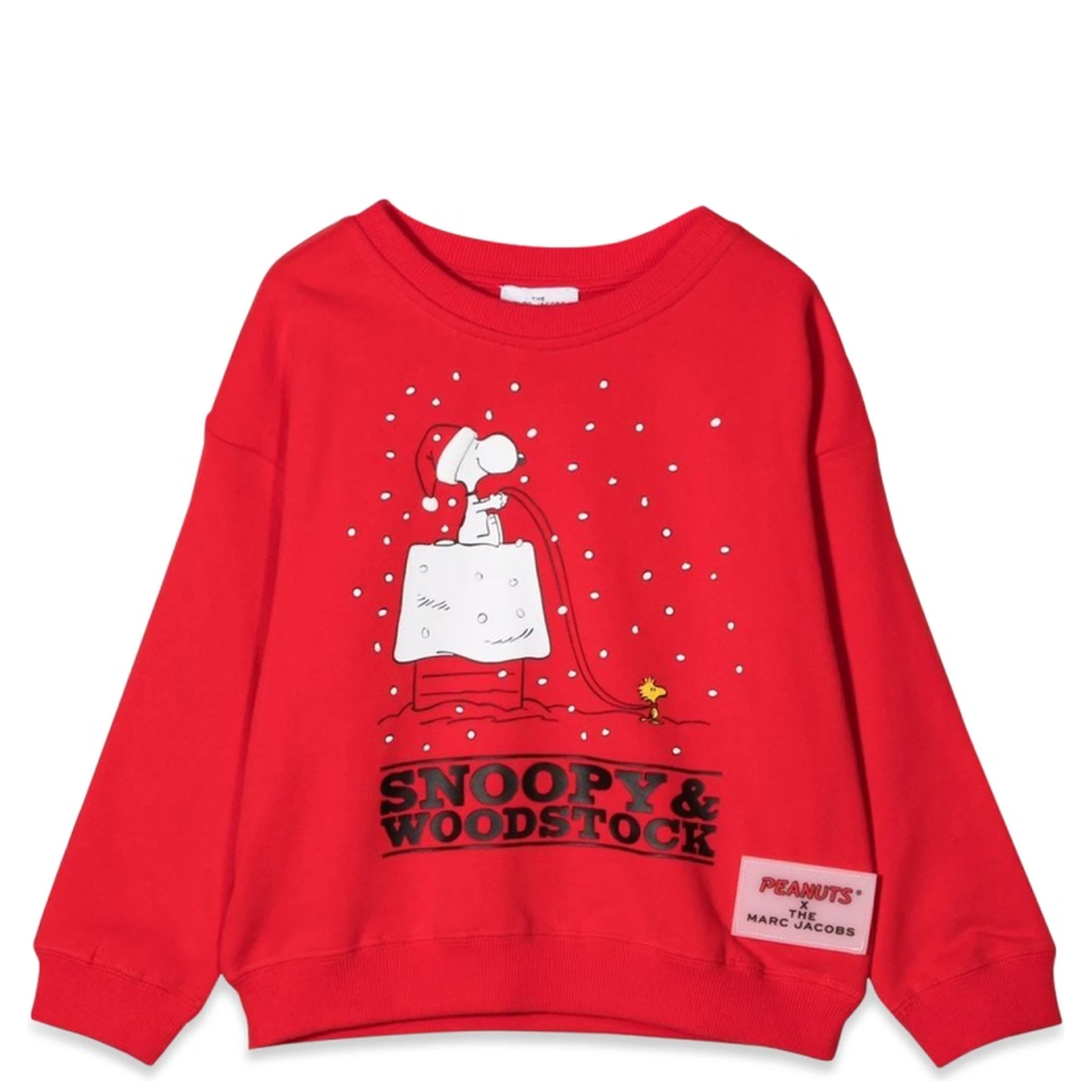 FELPA CAPSULE PEANUTS