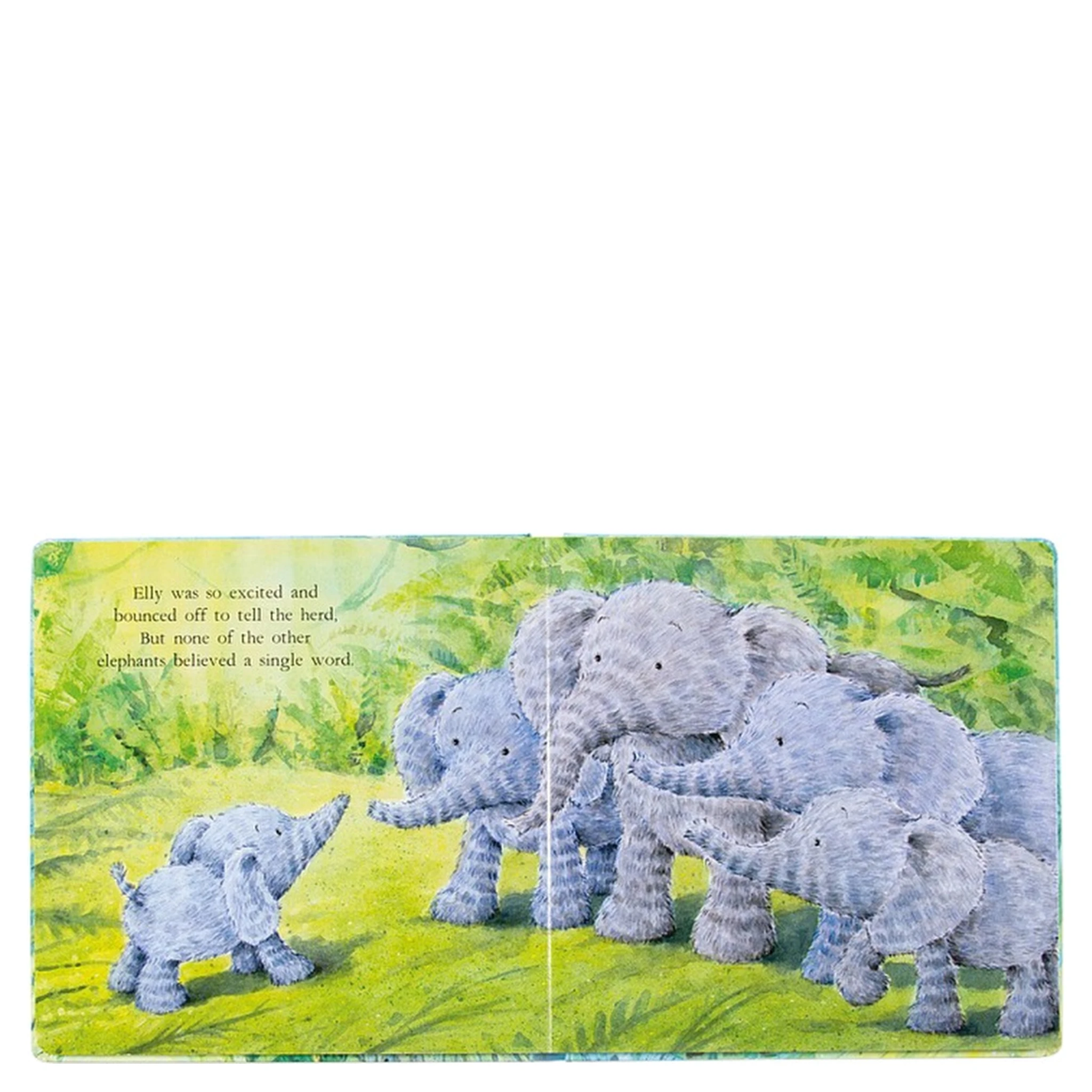 ELEPHANTS CANT FLY BOOK