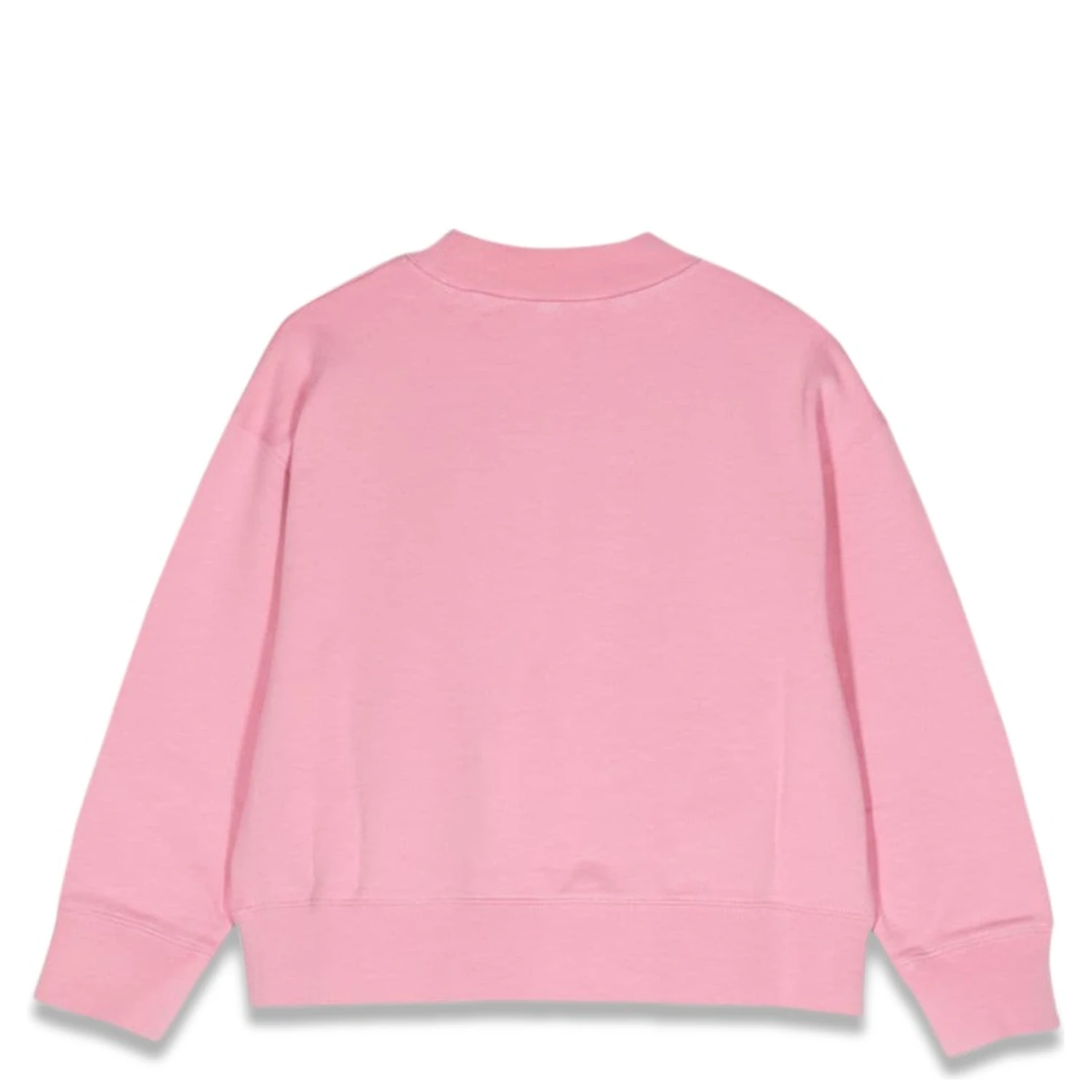 pa flames regular crewneck