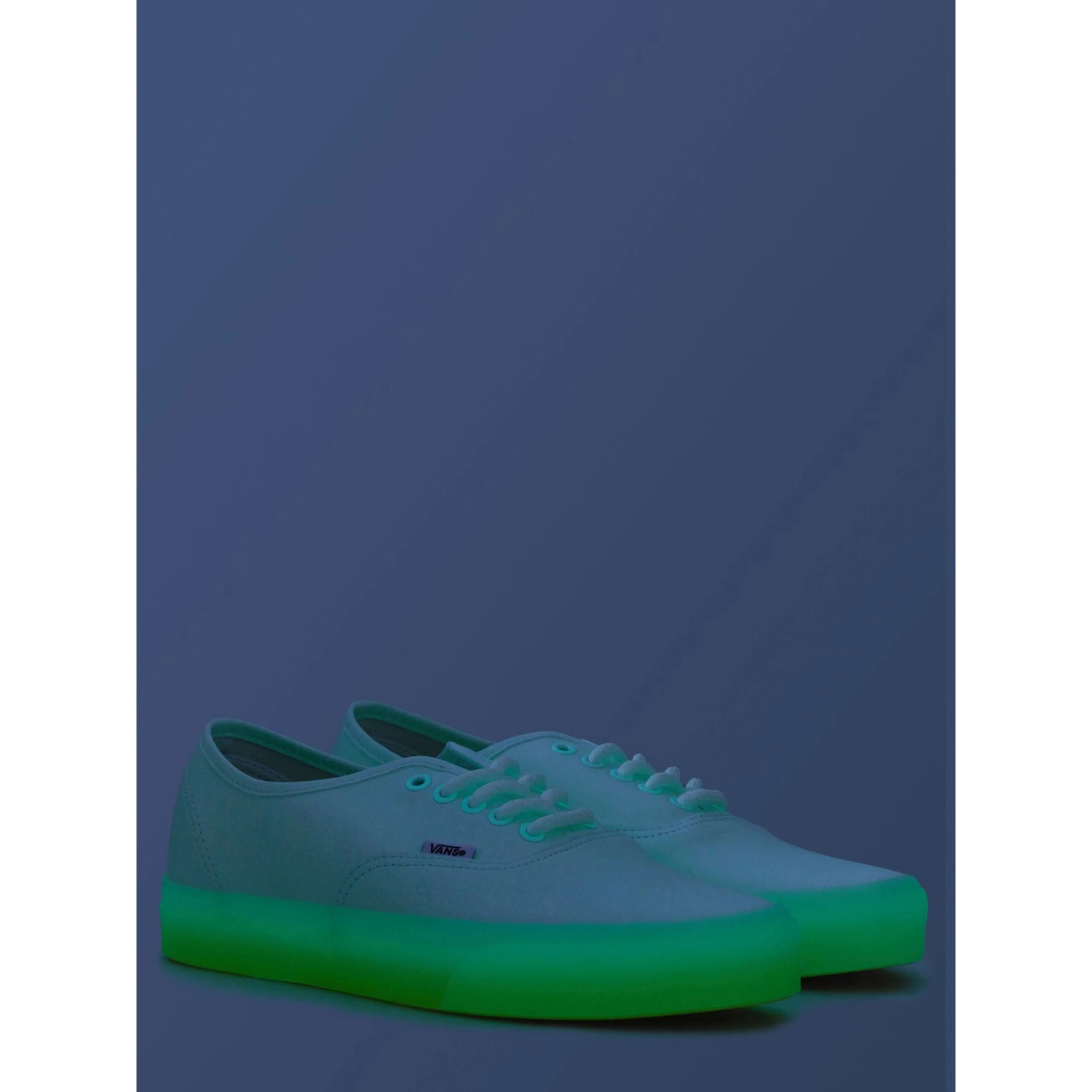 AUTHENTIC SNEAKER