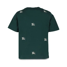 kb5 cedar accent ekd