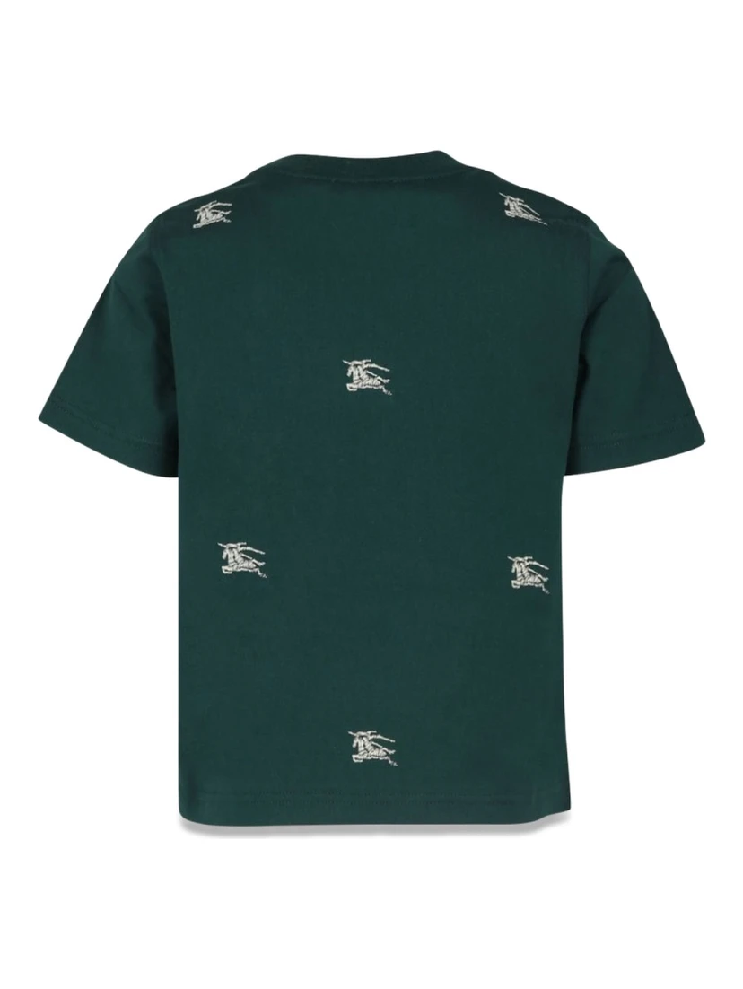 kb5 cedar accent ekd