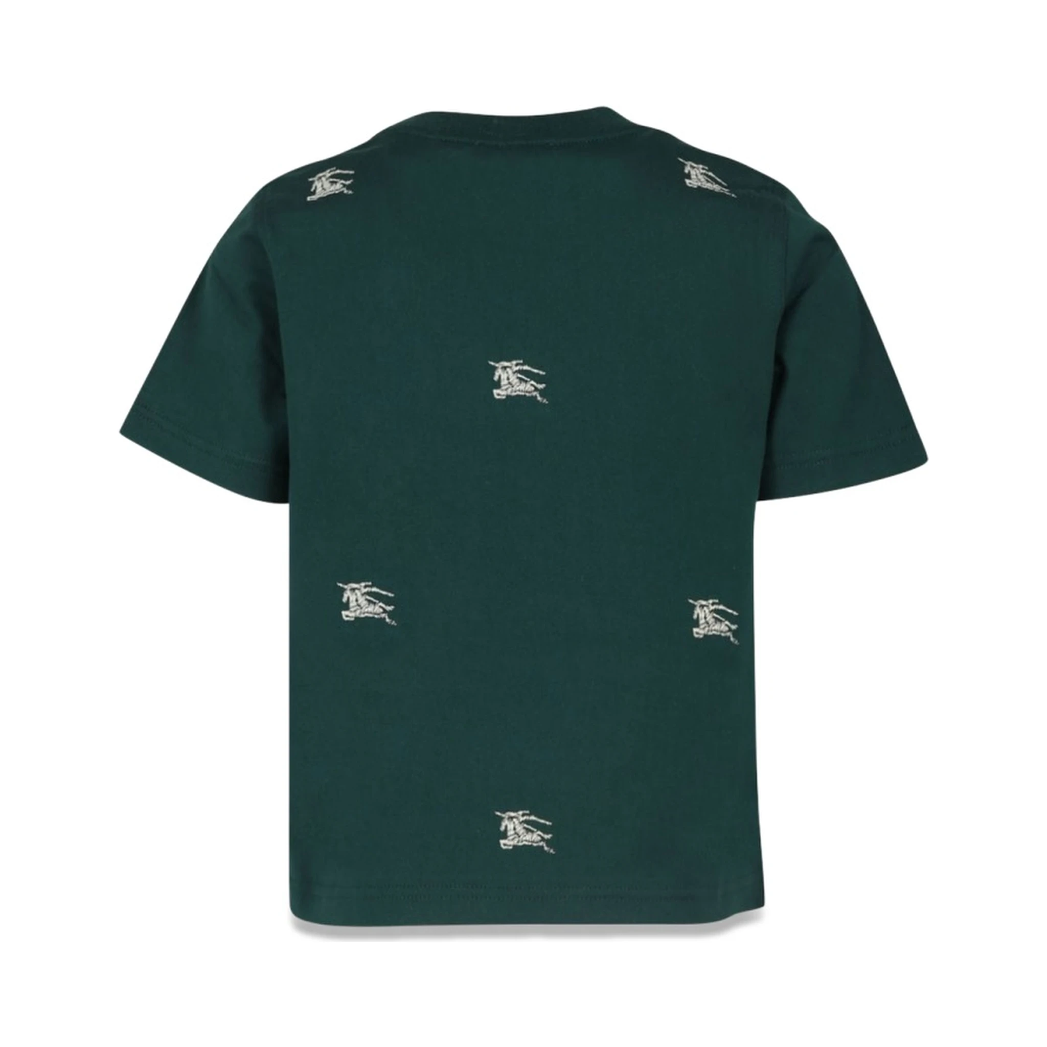 kb5 cedar accent ekd