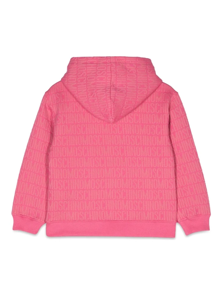 SWEATSHIRT W/HOOD alternative