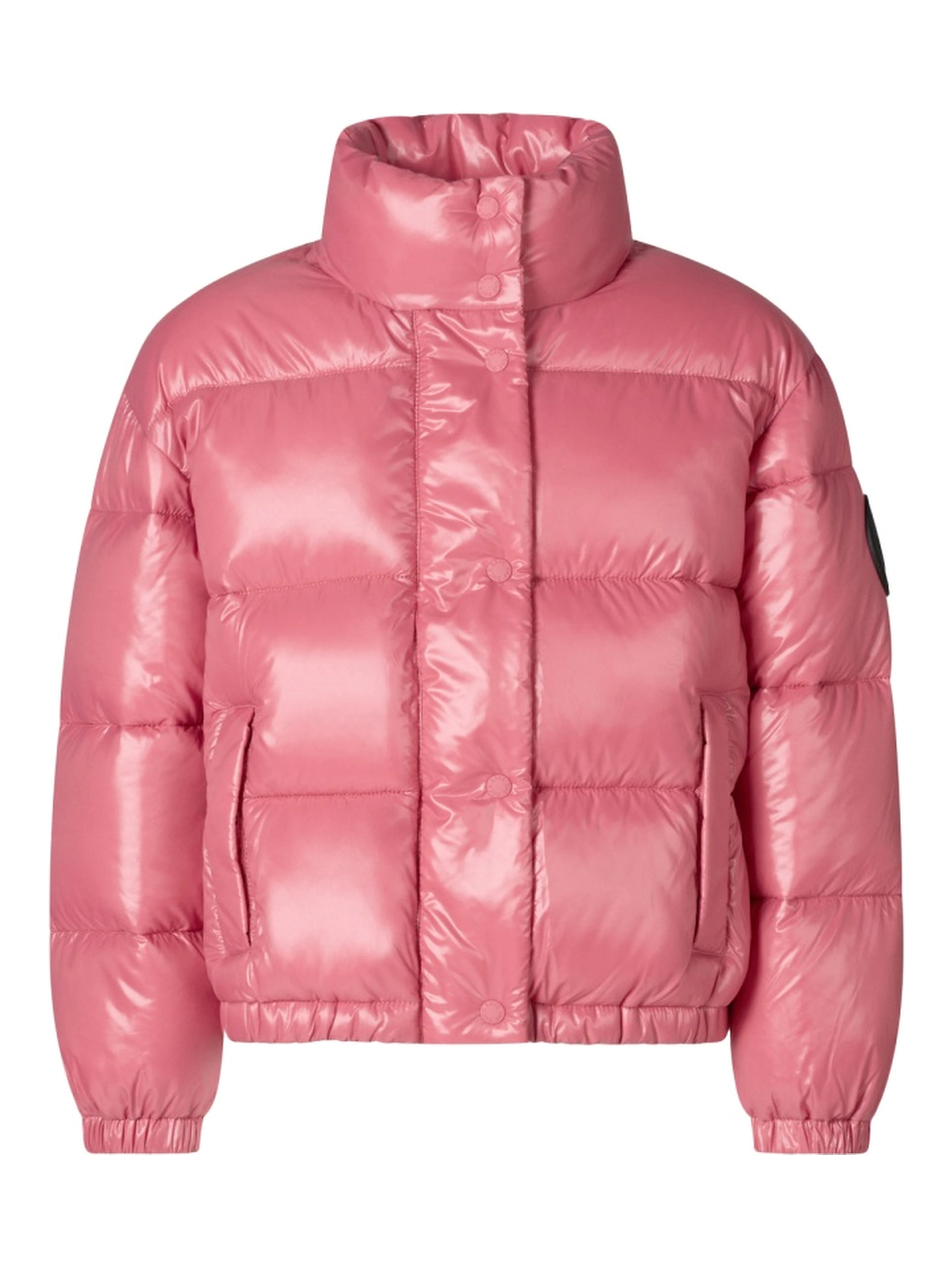 jacket no hood