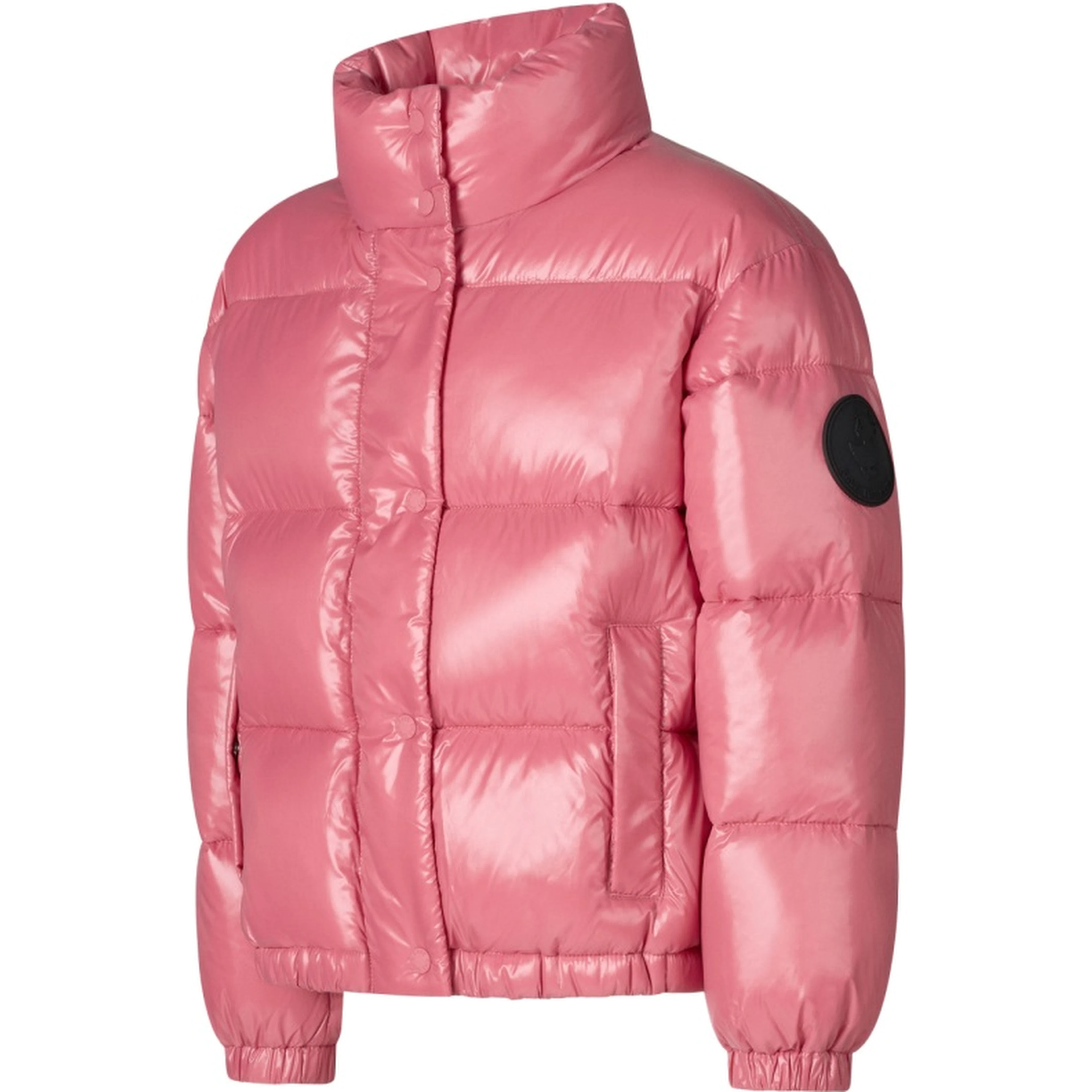 jacket no hood