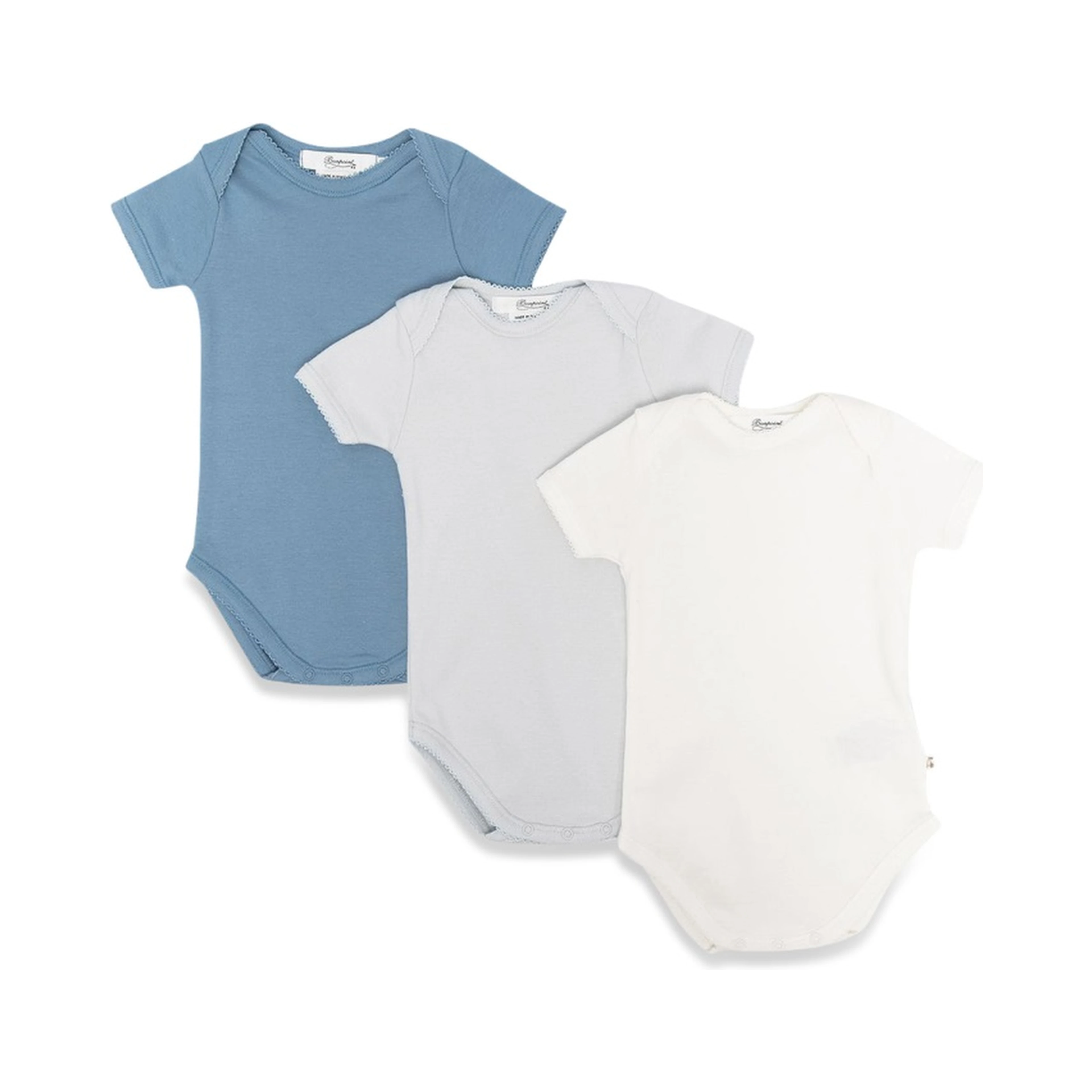 SET OF 3 BODY