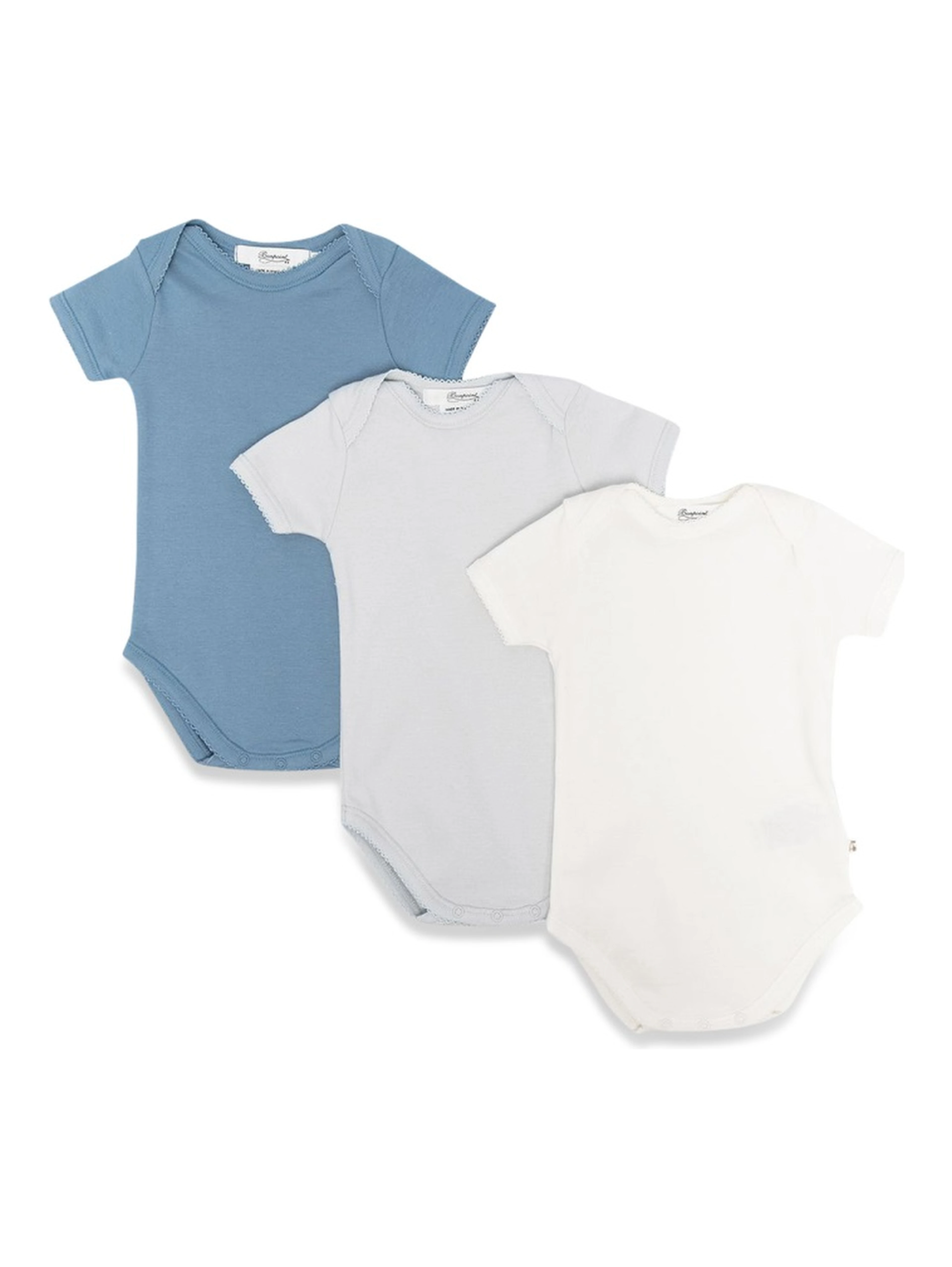 SET OF 3 BODY
