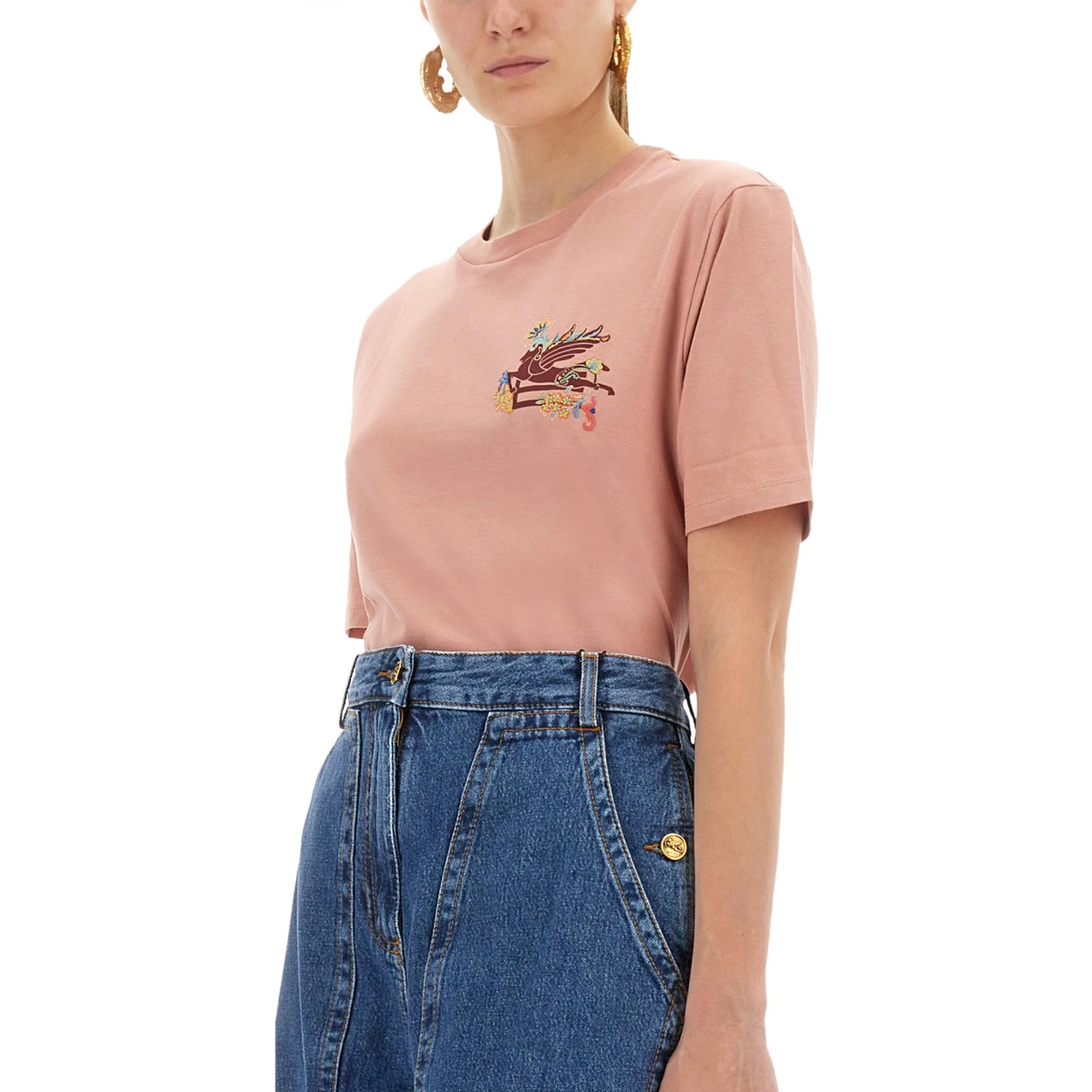 تي شيرت عليه صورة بيغاسوس