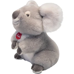 KOALA
