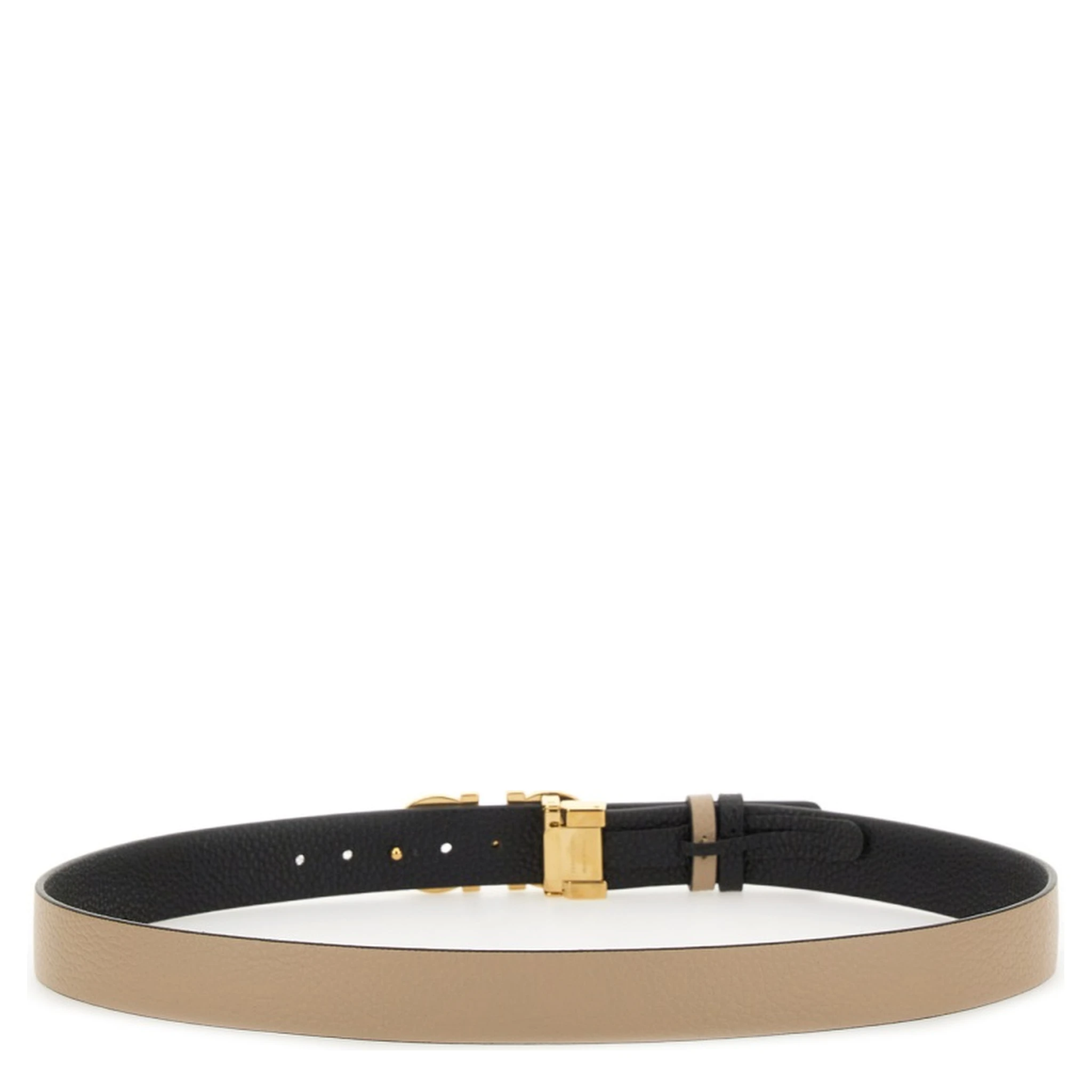 REVERSIBLE BELT HOOKS