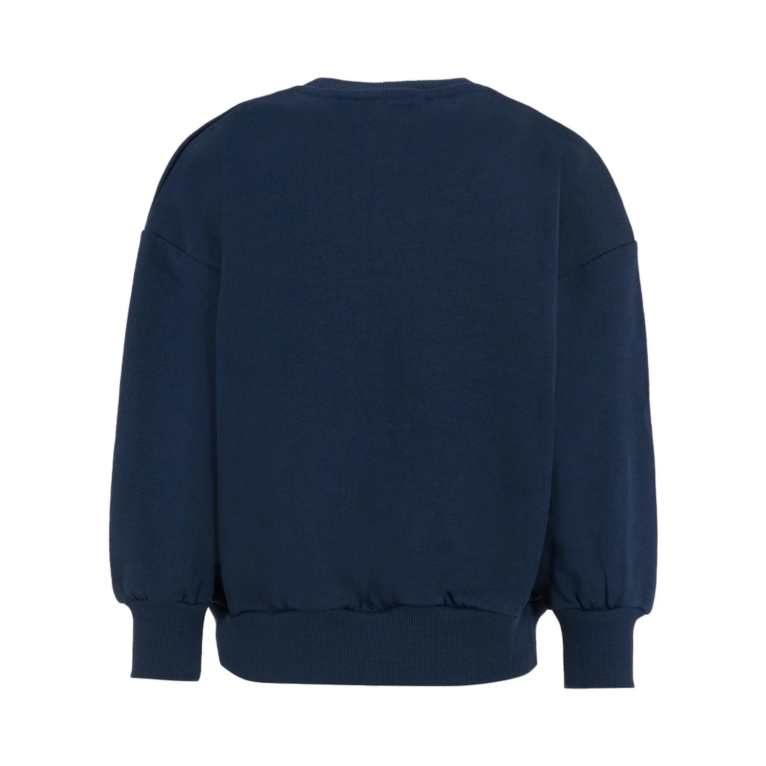 "BRONTOSAURUS" SWEATSHIRT
