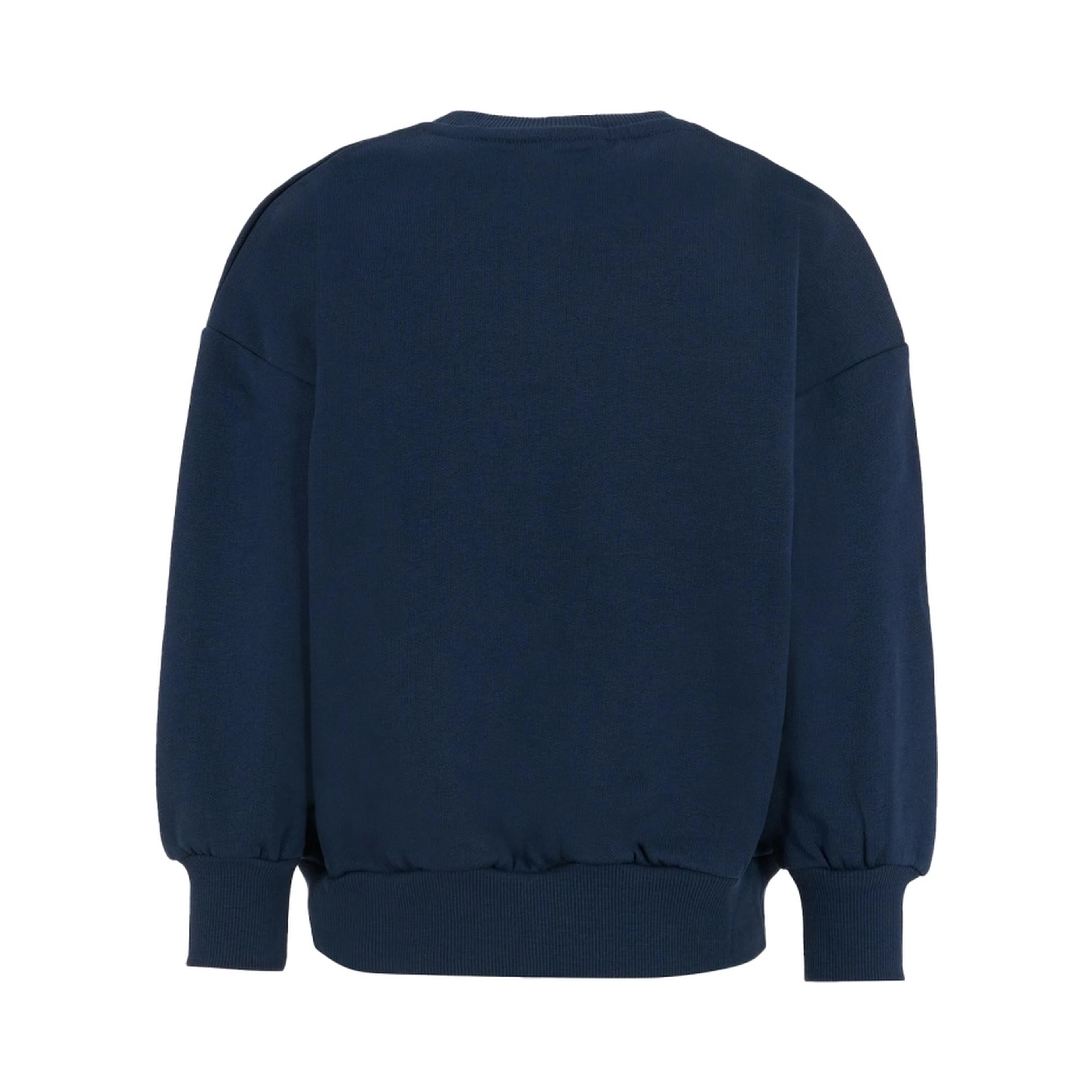 "BRONTOSAURUS" SWEATSHIRT
