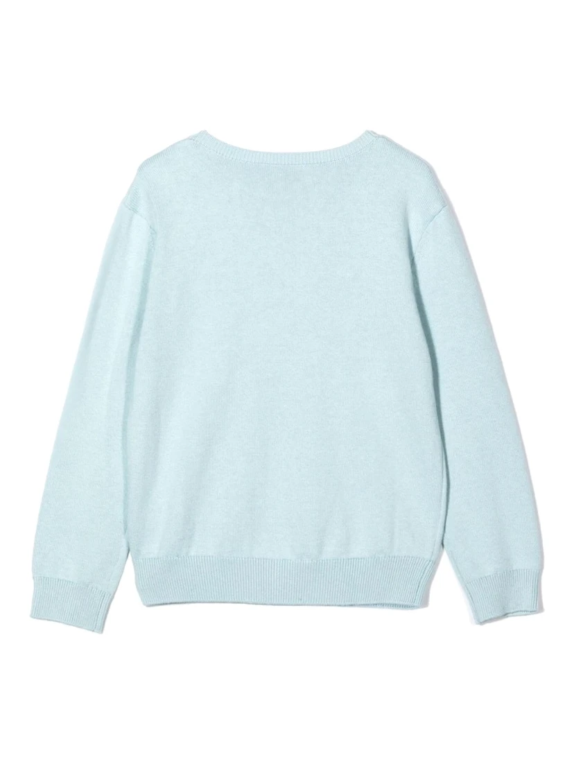SIGNATURE LOGO CREW NECK PULLOVER