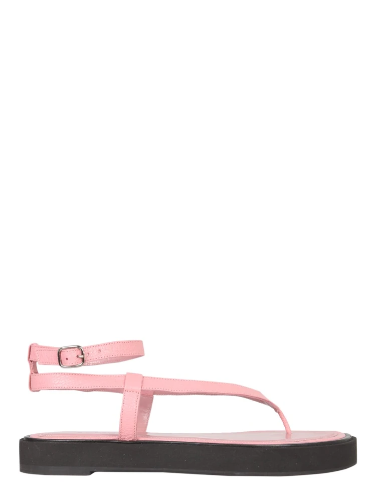 CECE THONG SANDALS